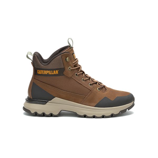 Bota Hombre Colorado Sneaker Dachshund